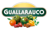 Guallarauco